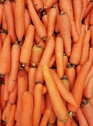 Stop Food Waste campaigns